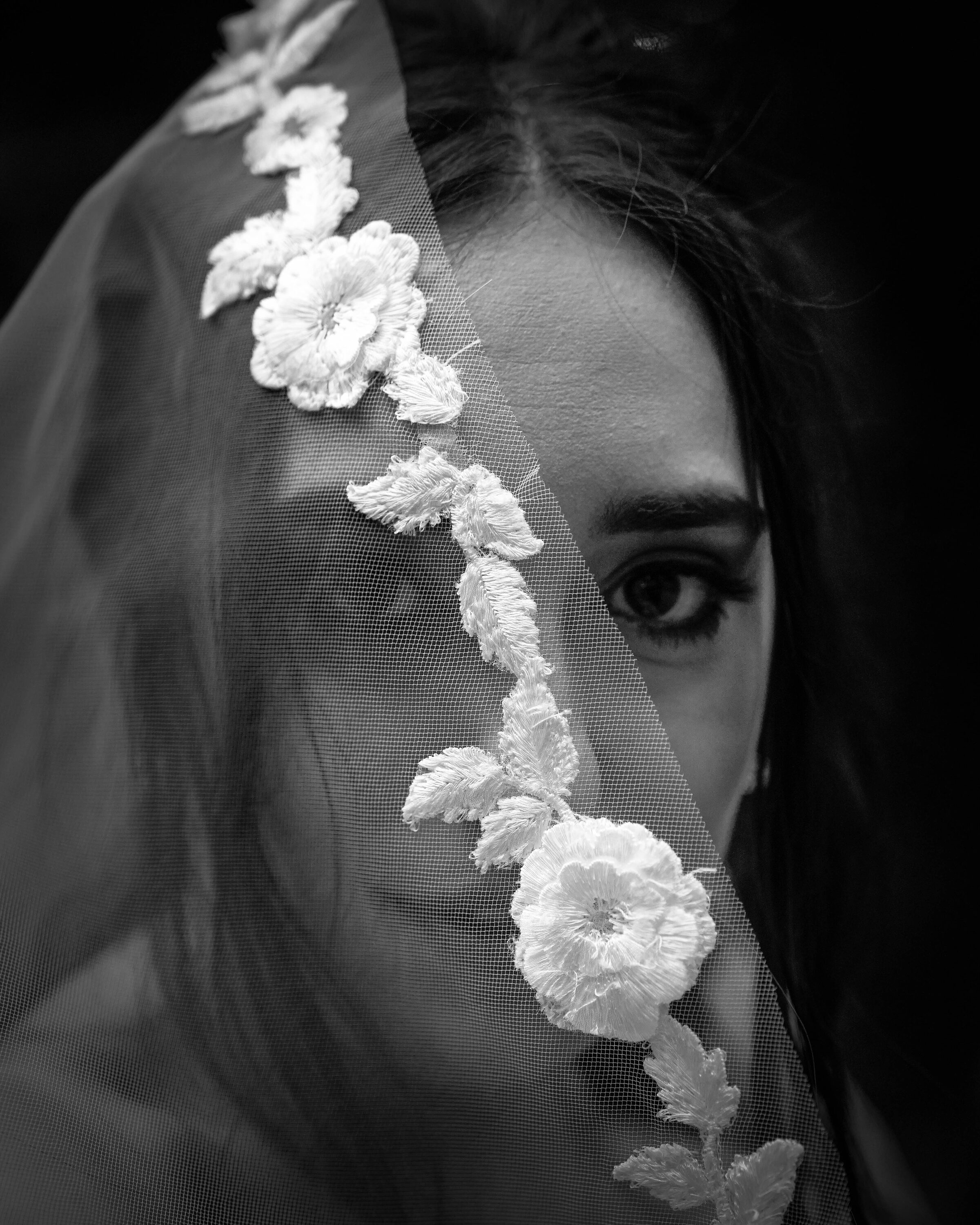 Retrato de novia tras el velo